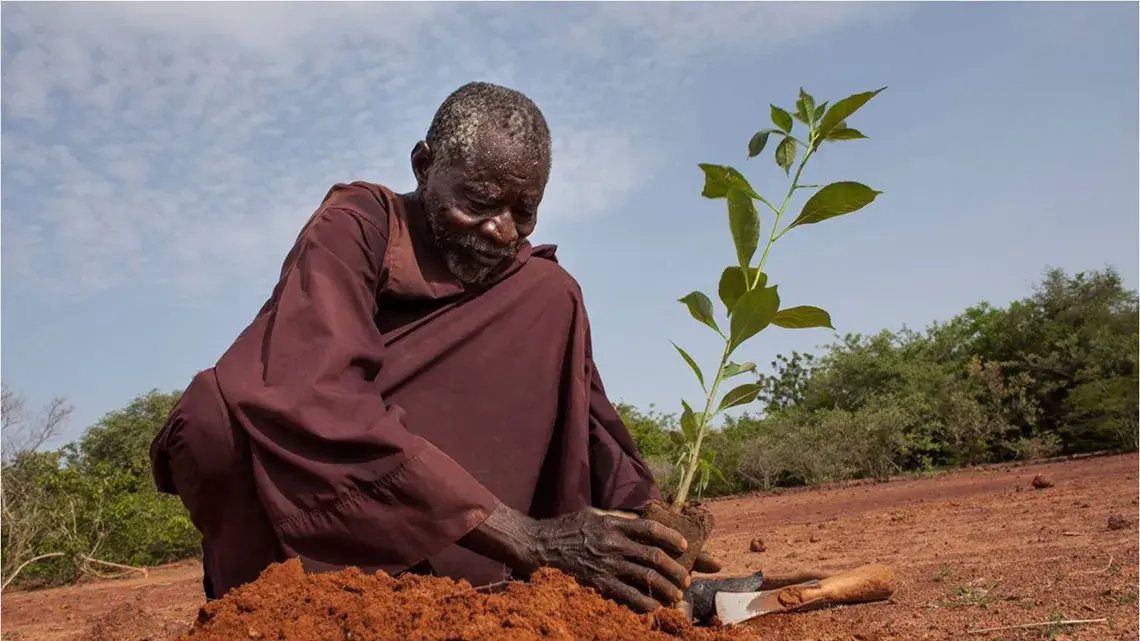 Yacouba Sawadogo avec ses plantes